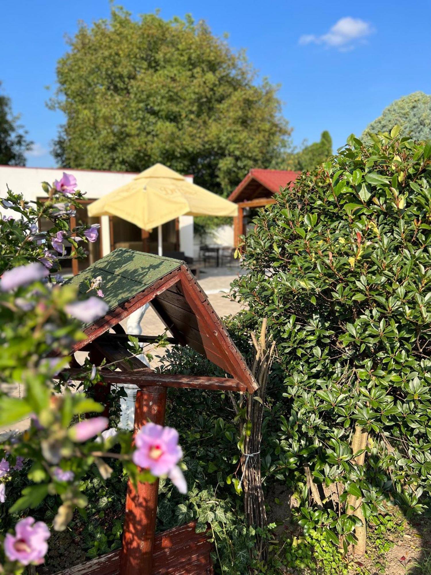 Bajor Panzio Buek-Buekfuerdo, Adults Friendly 12 Plus Extérieur photo
